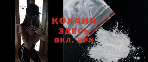 твердый Алексеевка