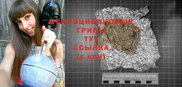 твердый Алексеевка