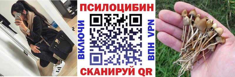 Псилоцибиновые грибы мухоморы  цена   Рошаль 